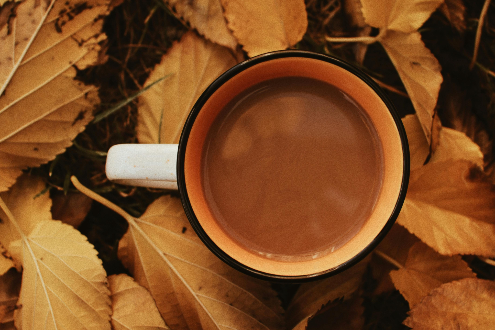 Jeseň v znamení experimentu. Dáme si ešte pumpkin spice?