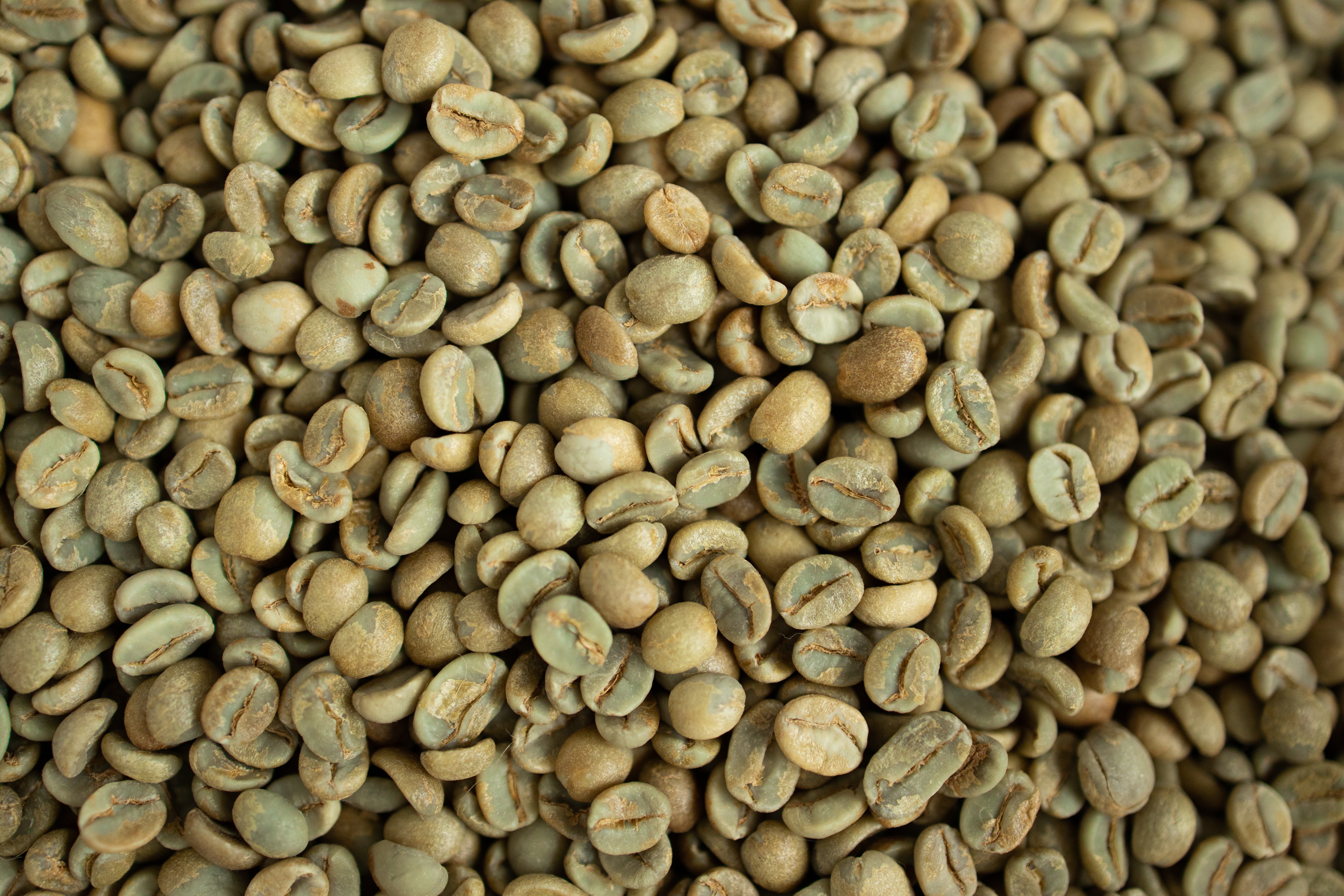 Proč je naturálně zpracovaná káva sladší?