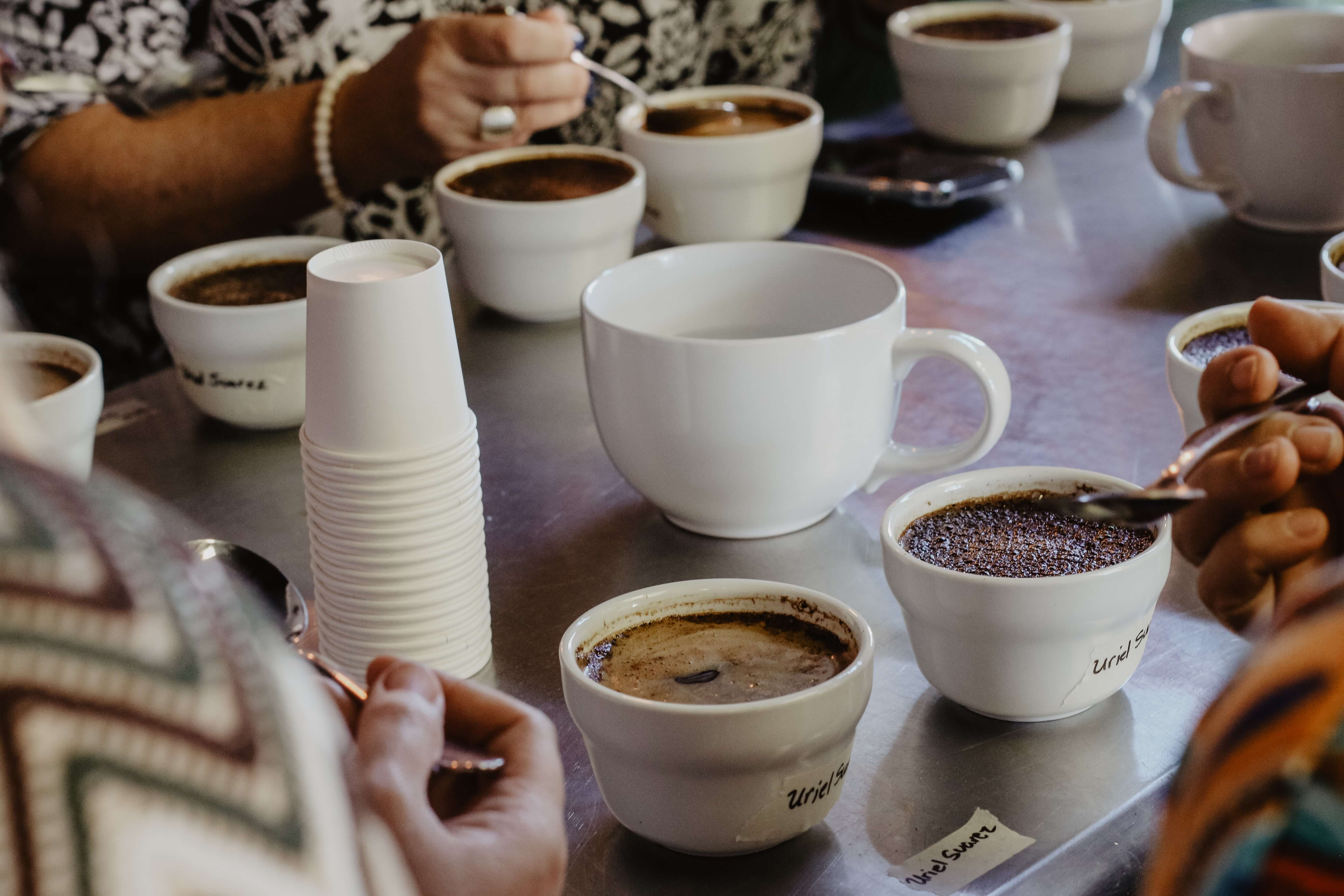 Cupping: jaká jsou pravidla degustace kávy?