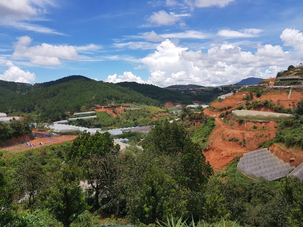 Krajina ve Vietnamu s foliovníky s kávovými farmami.
